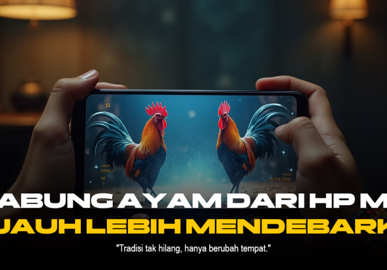 Mengulik Ayam Bangkok: Raja Sabung Ayam SV388