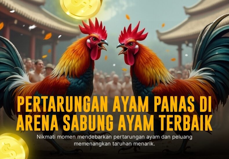 Mengenal Ayam Bangkok: Raja Sabung Ayam dengan Odds Terbaik di SV388