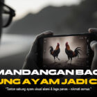 Mengenal Slot: Panduan Lengkap dan Tips Bermain Slot Online