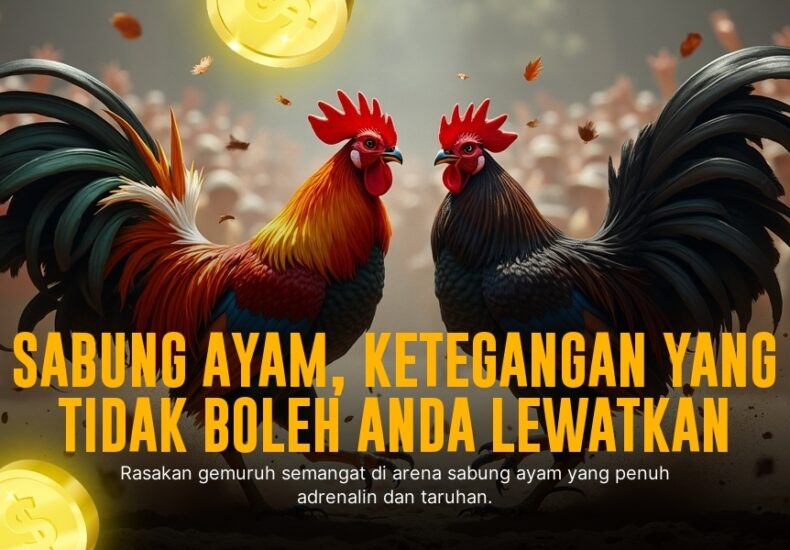 Mengenal Ayam Bangkok: Raja Sabung Ayam dengan Odds Menjanjikan di SV388