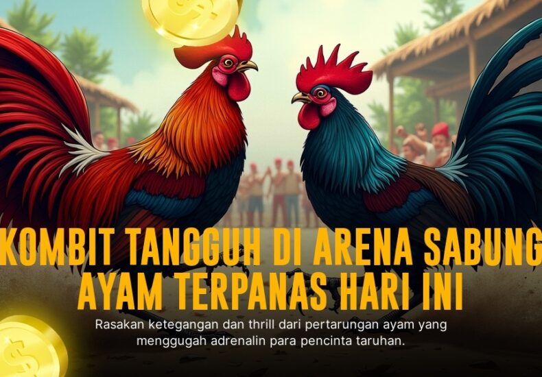 Mengenal Jenis Ayam Sabung Terpopuler dan Provider SV388