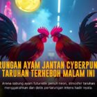 Menguak Dunia Sabung Ayam SV388: Jenis Ayam dan Peluang Taruhan